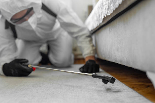 Professional Cockroach Control technician working in West Modesto, CA