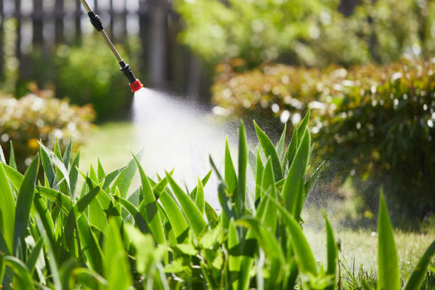 24/7 Emergency Cockroach Control experts in West Modesto, CA