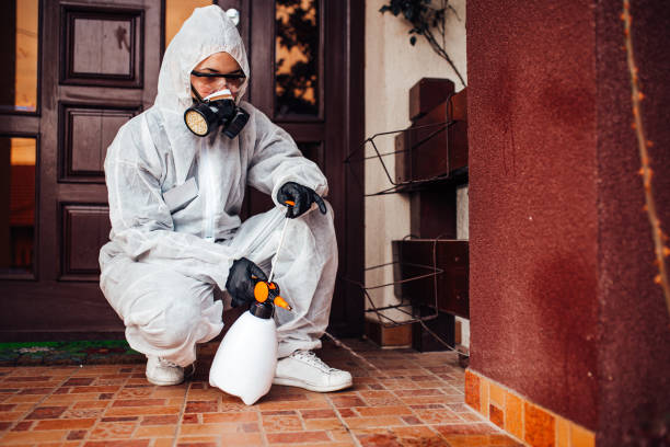Reliable Cockroach Control contractor in West Modesto, CA by Nex Pest Control